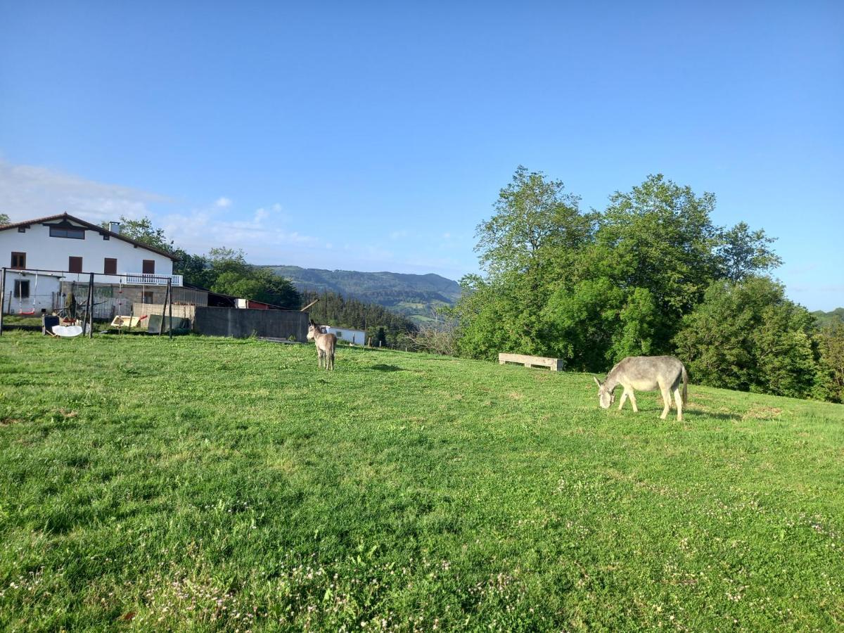Agroturismo Pagoederraga Orio Εξωτερικό φωτογραφία