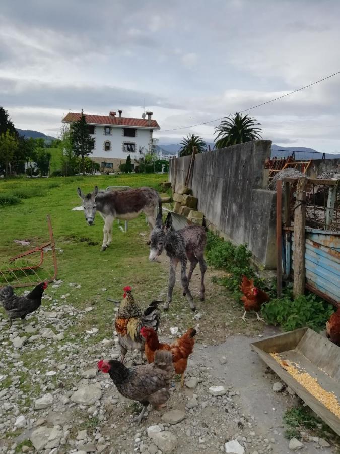 Agroturismo Pagoederraga Orio Εξωτερικό φωτογραφία