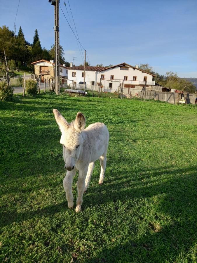 Agroturismo Pagoederraga Orio Εξωτερικό φωτογραφία