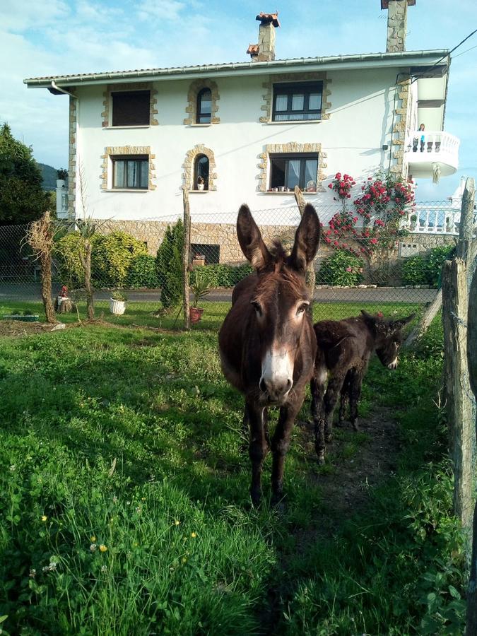 Agroturismo Pagoederraga Orio Εξωτερικό φωτογραφία