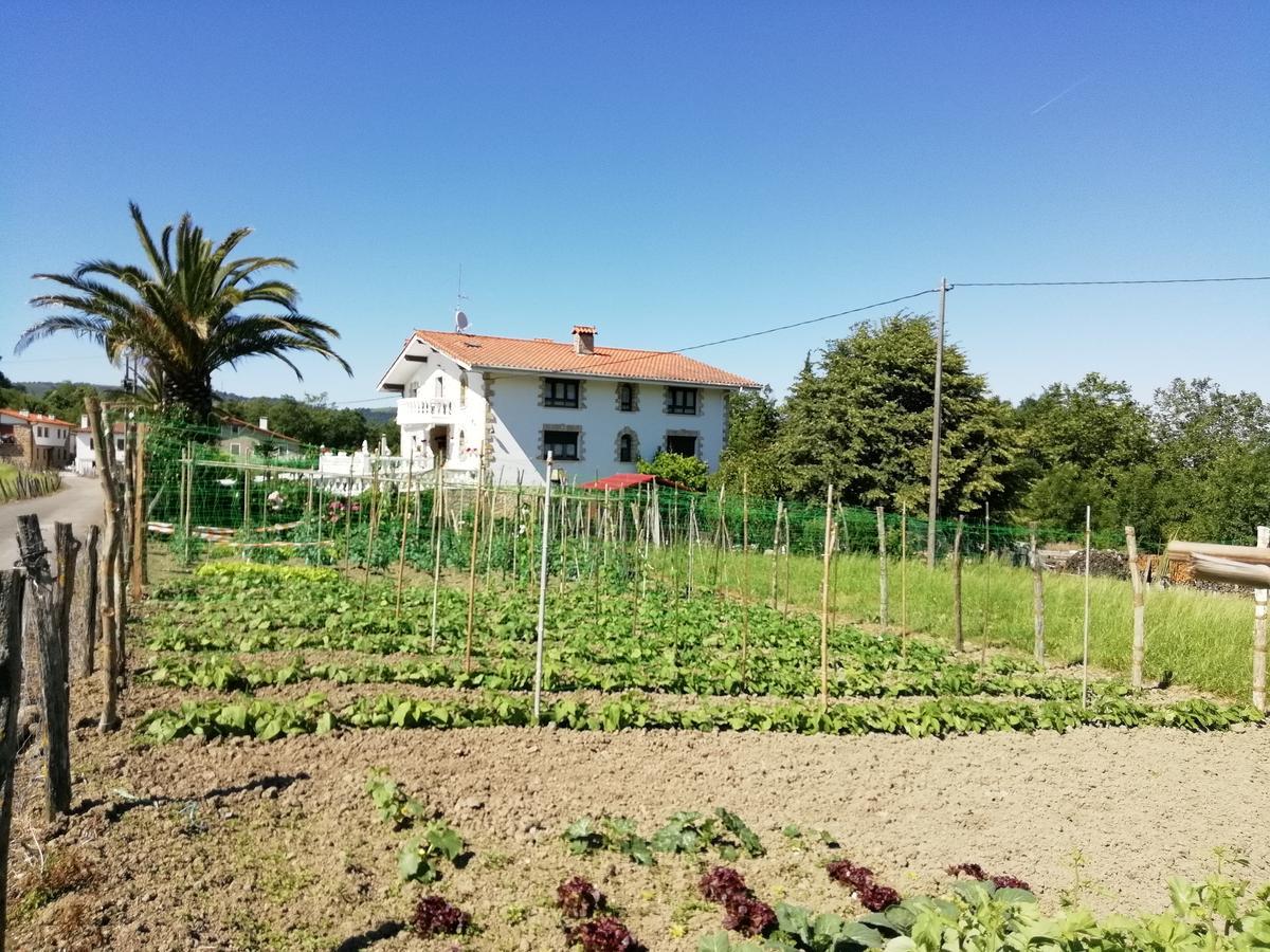 Agroturismo Pagoederraga Orio Εξωτερικό φωτογραφία