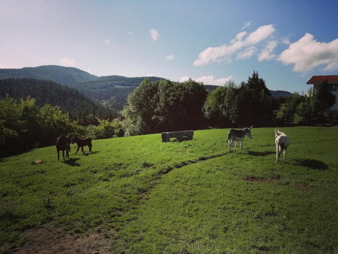 Agroturismo Pagoederraga Orio Εξωτερικό φωτογραφία