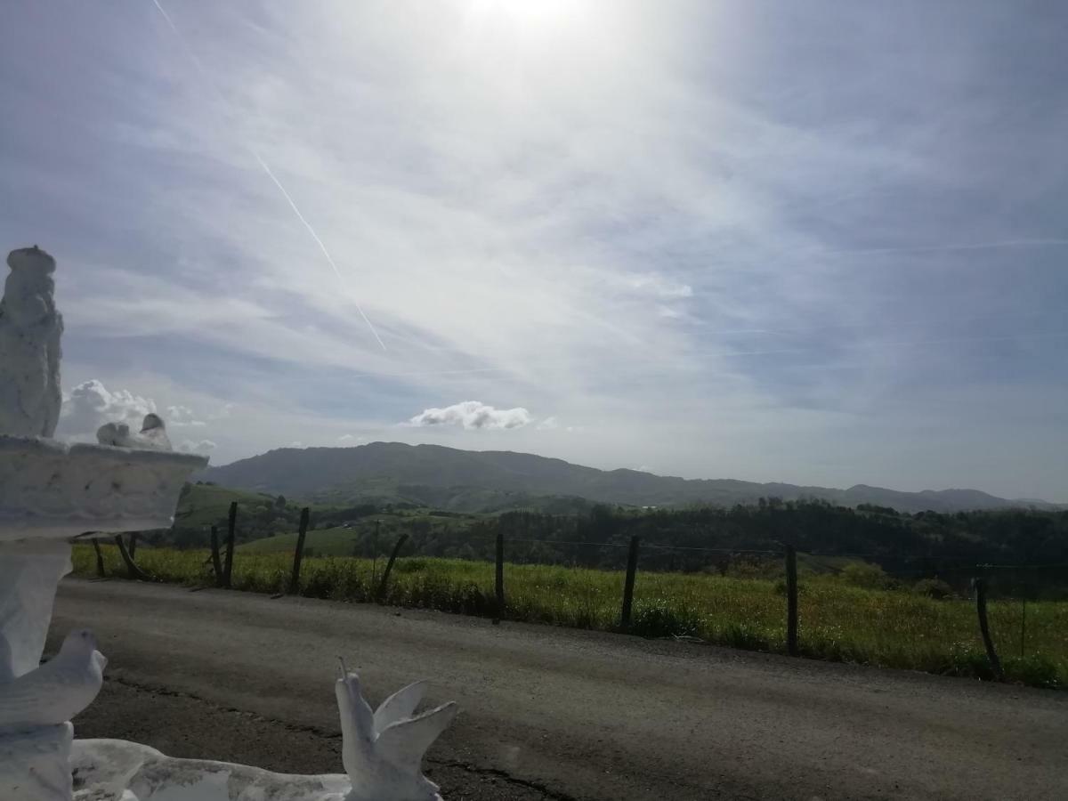 Agroturismo Pagoederraga Orio Εξωτερικό φωτογραφία