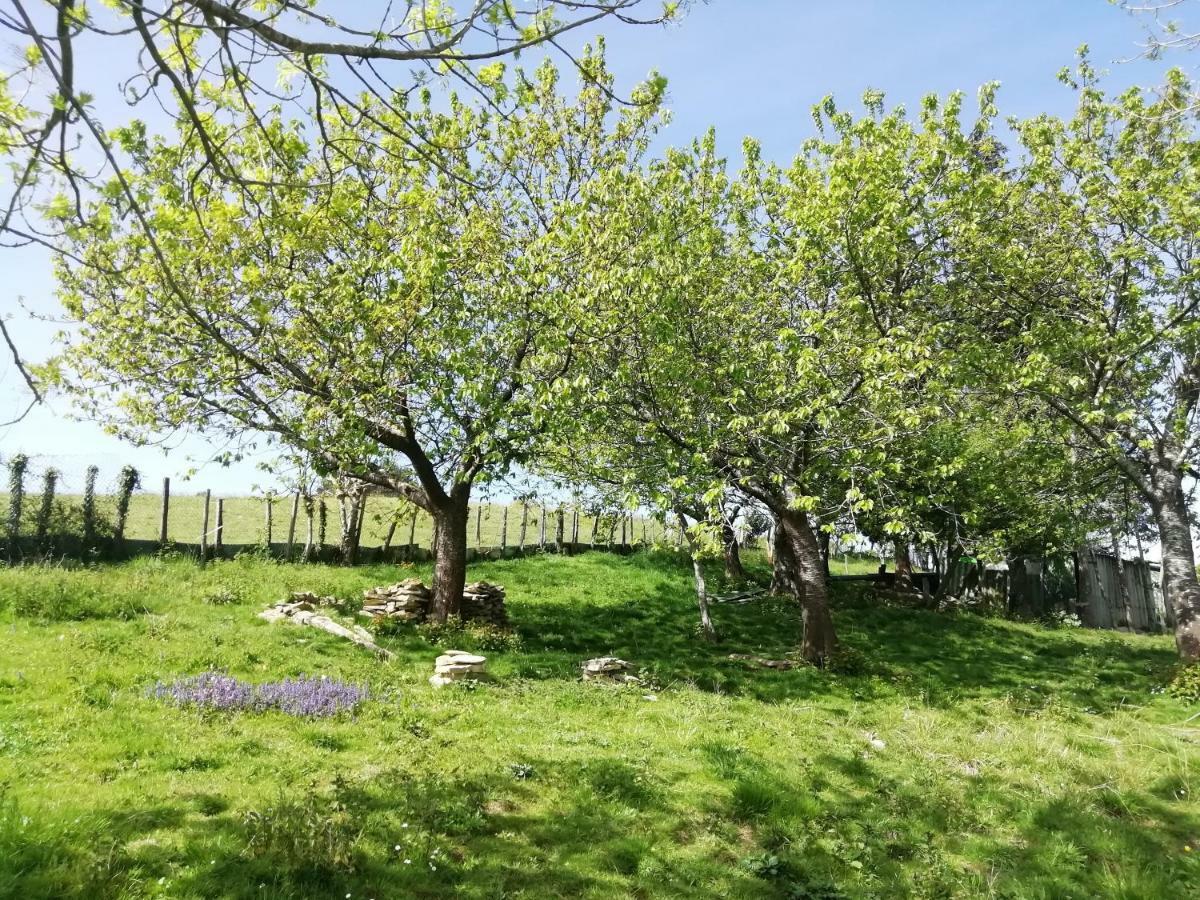 Agroturismo Pagoederraga Orio Εξωτερικό φωτογραφία