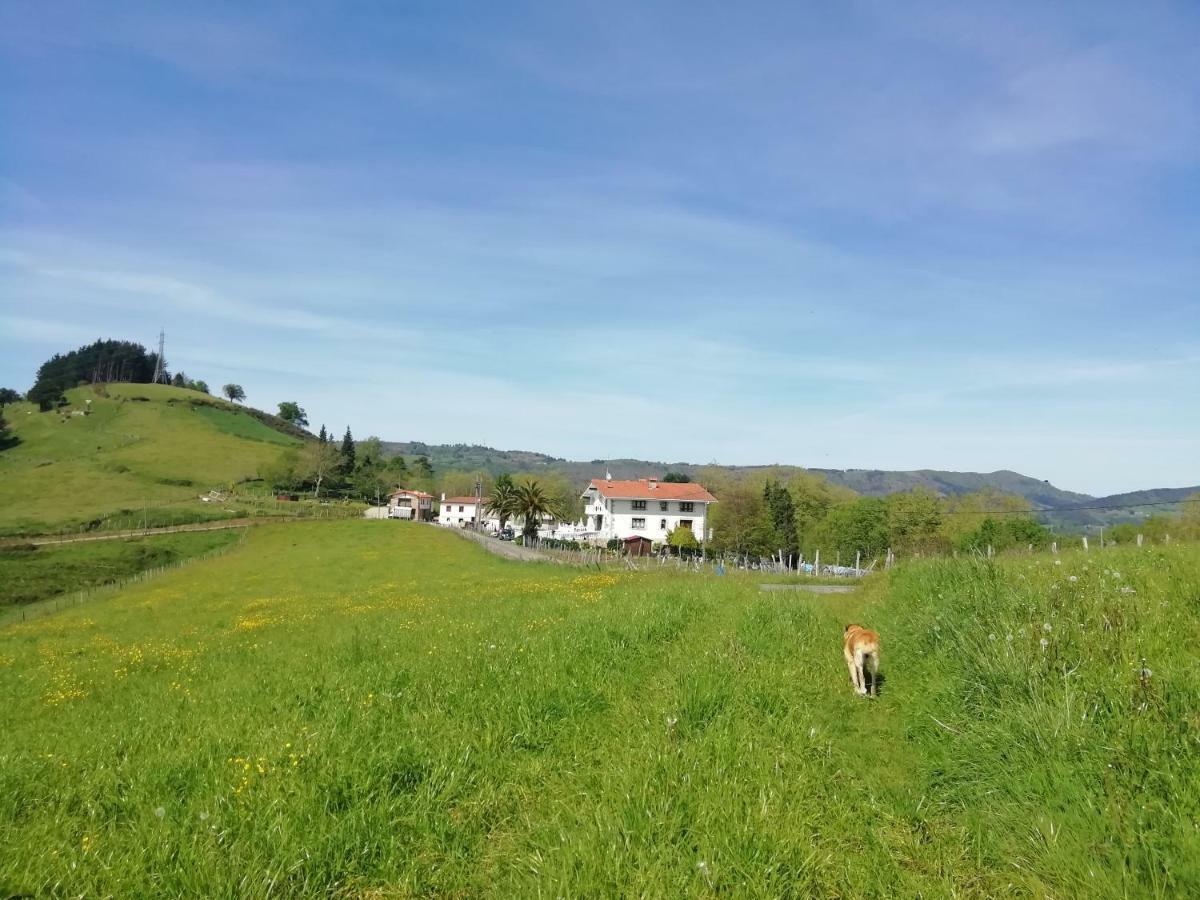 Agroturismo Pagoederraga Orio Εξωτερικό φωτογραφία
